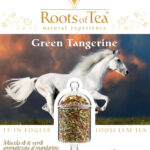 Refill 41- Green Tangerine Gr. 40